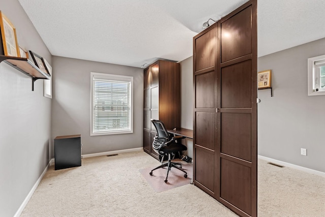 2119 Cedar Grove Trl, Eagan, MN 55122 - home office featuring light carpet, healthy amount of natural light, baseboards, and a textured ceiling
