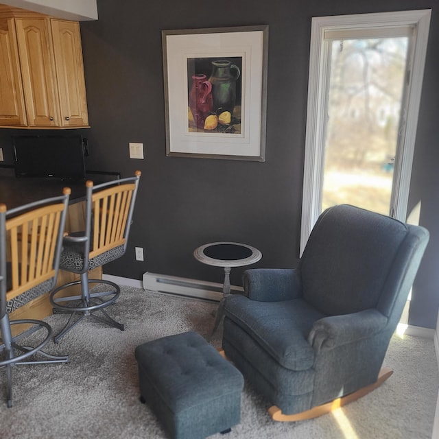 14473 Barnes Dr, Lake View Twp, MN 56501 - carpeted office with a baseboard radiator and baseboards