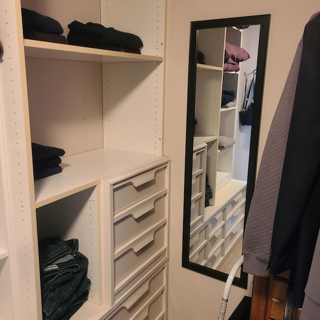 14473 Barnes Dr, Lake View Twp, MN 56501 - view of walk in closet
