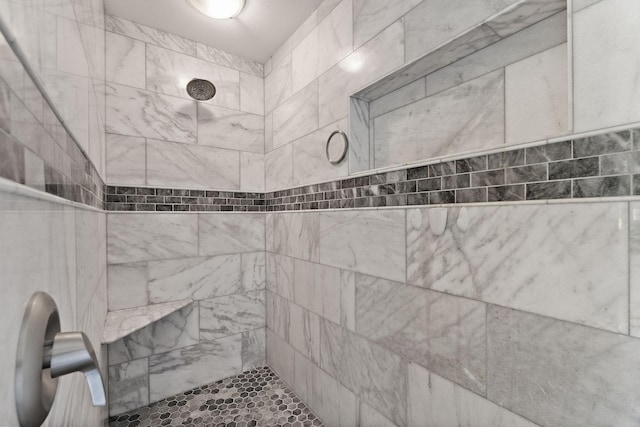 W10415 521st Ave, Prescott, WI 54021 - full bath with a tile shower