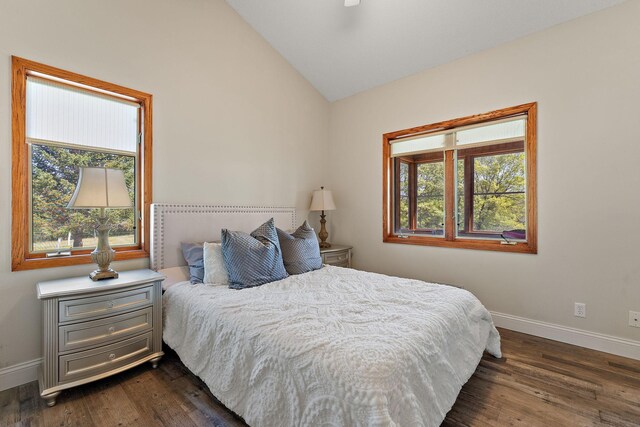 W10415 521st Ave, Prescott, WI 54021 - bedroom with baseboards, lofted ceiling, and dark wood-type flooring