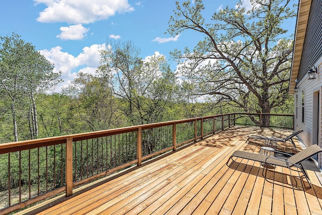 W10415 521st Ave, Prescott, WI 54021 - view of wooden deck
