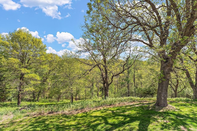 W10415 521st Ave, Prescott, WI 54021 - view of grassy yard featuring a view of trees