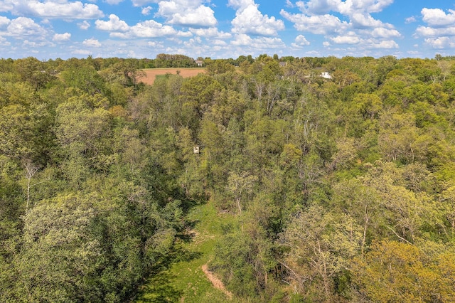 W10415 521st Ave, Prescott, WI 54021 - aerial view of a forest