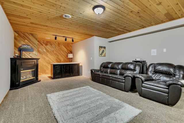 living area with carpet, rail lighting, wooden ceiling, wooden walls, and a glass covered fireplace