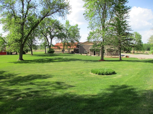 8300 263rd St, Saint Cloud, MN 56301 - view of green lawn