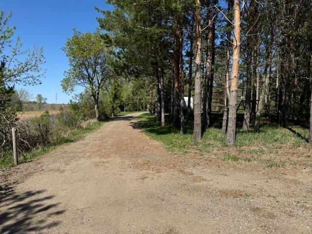 2.5ACRE Kristi Ln NW, Garfield, MN 56332 - photo 3