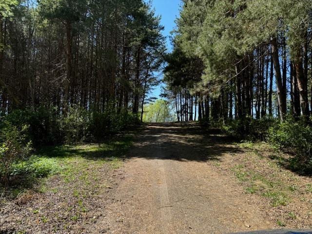 2.5ACRE Kristi Ln NW, Garfield, MN 56332 - photo 4