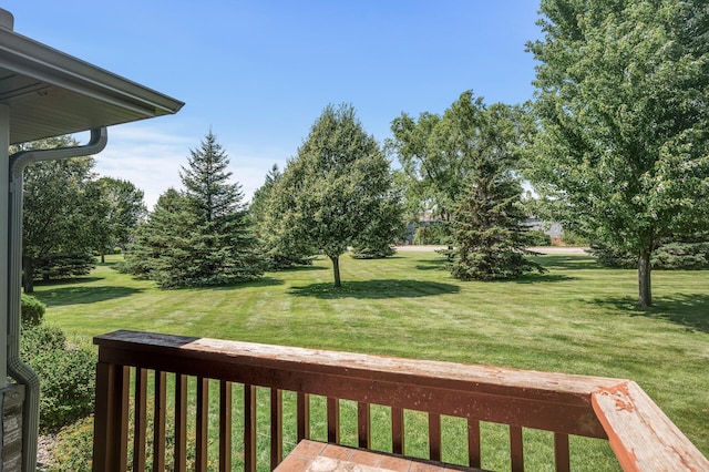 705 Independence Dr, Big Lake, MN 55309 - photo 28
