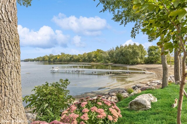 23380 127th St, Glenwood, MN 56334 - water view with a dock