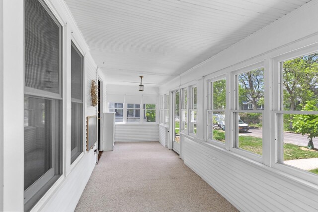 unfurnished sunroom featuring plenty of natural light and carpet floors