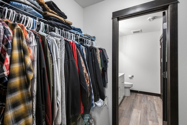 508 14th St NW, Waseca, MN 56093 - walk in closet featuring light wood finished floors