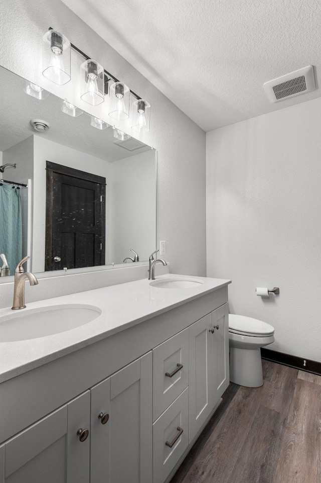 508 14th St NW, Waseca, MN 56093 - bathroom with a textured ceiling, wood finished floors, double vanity, and toilet