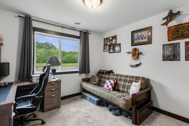 508 14th St NW, Waseca, MN 56093 - office space featuring light colored carpet, baseboards, and a textured ceiling