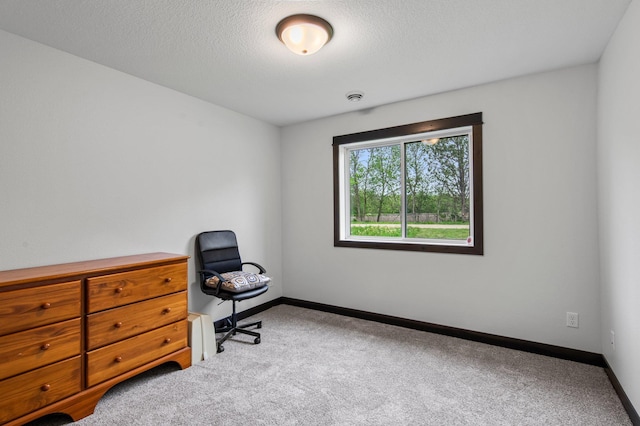 508 14th St NW, Waseca, MN 56093 - carpeted home office featuring baseboards