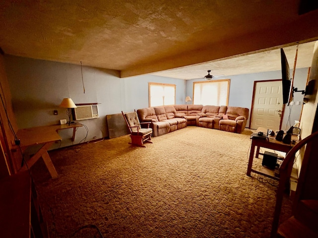 113 6th Ave SE, Baudette, MN 56623 - carpeted living room featuring a ceiling fan and a textured ceiling