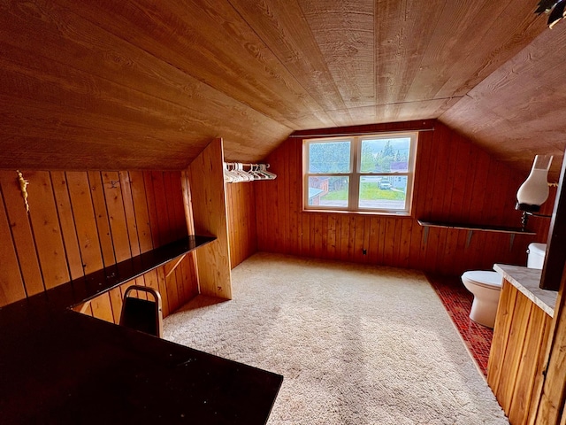 113 6th Ave SE, Baudette, MN 56623 - bonus room with wooden ceiling, wood walls, carpet, and vaulted ceiling