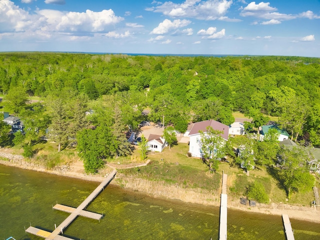27621 83 Unit 2, Battle Lake, MN 56515 - bird's eye view of a heavily wooded area and a nearby body of water