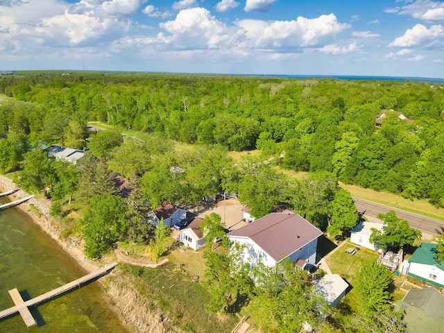 27621 83 Unit 2, Battle Lake, MN 56515 - bird's eye view of a forest