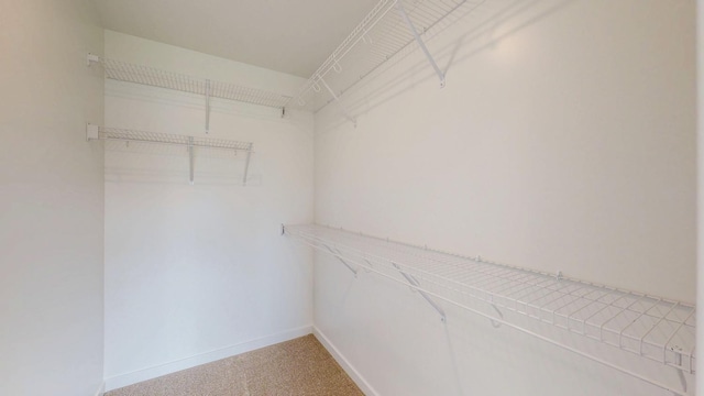 1483 Grand View Ln SE, Mazeppa, MN 55956 - walk in closet with light colored carpet