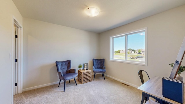 1483 Grand View Ln SE, Mazeppa, MN 55956 - office space featuring light colored carpet