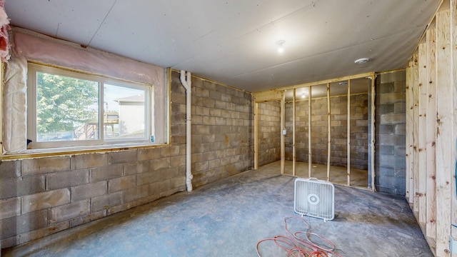 1483 Grand View Ln SE, Mazeppa, MN 55956 - below grade area featuring concrete block wall