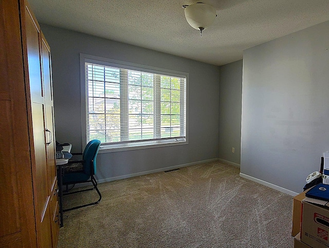 2714 Colleen St NE, Rochester, MN 55906 - carpeted home office featuring a textured ceiling and baseboards