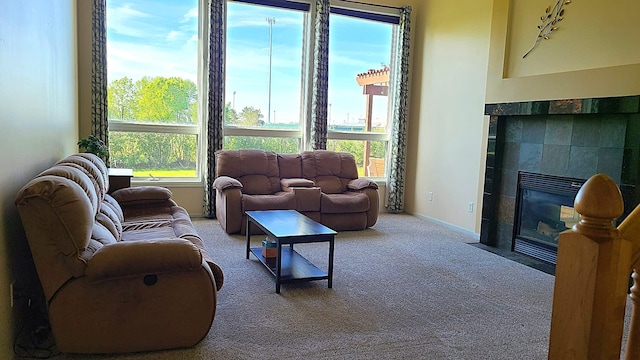 2714 Colleen St NE, Rochester, MN 55906 - carpeted living area featuring plenty of natural light and a fireplace