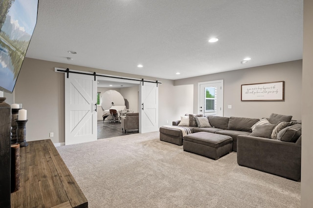 4756 121st Ave NE, Blaine, MN 55449 - living room featuring a barn door, carpet, and recessed lighting