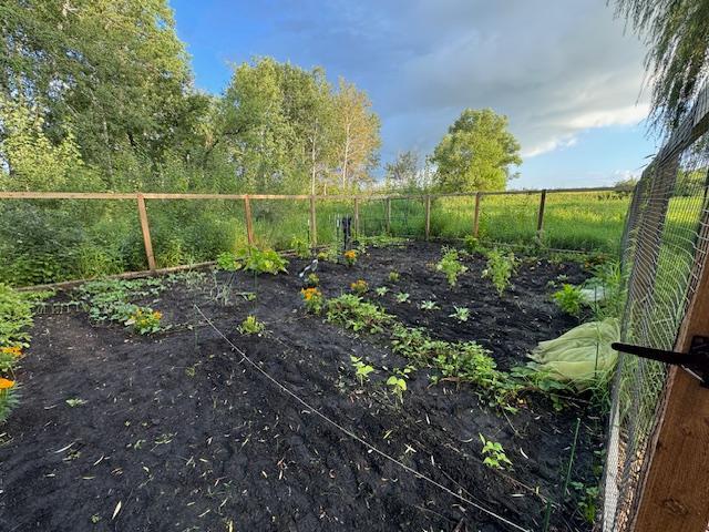 4756 121st Ave NE, Blaine, MN 55449 - view of yard featuring a vegetable garden