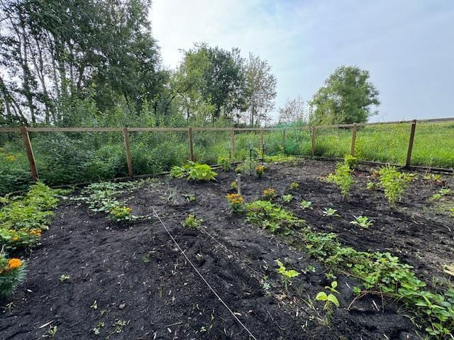 4756 121st Ave NE, Blaine, MN 55449 - view of yard featuring a vegetable garden