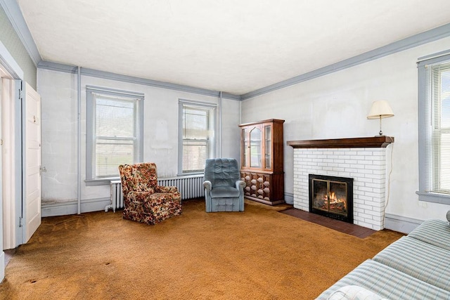 living area featuring radiator, healthy amount of natural light, a fireplace, carpet flooring, and crown molding