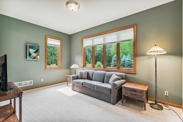10791 3rd Street Pl N, Lake Elmo, MN 55042 - carpeted living room featuring plenty of natural light and baseboards