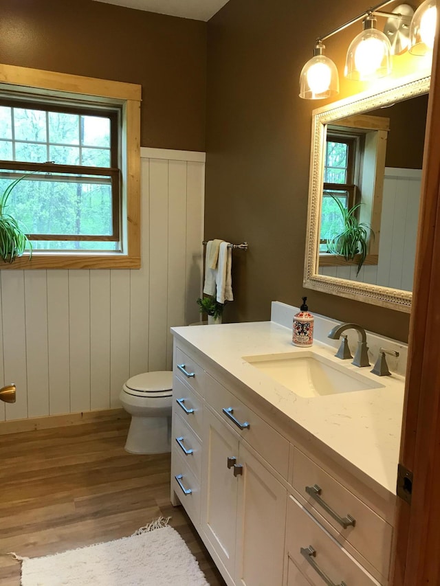 half bathroom with wood finished floors, toilet, and vanity