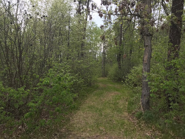 view of tree filled area