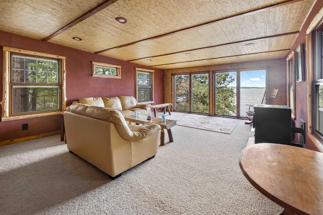 4838 Pine Mountain Beach Dr SW, Backus, MN 56435 - photo 25