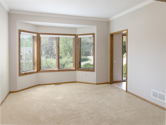 17768 Keystone Ave, Lakeville, MN 55044 - unfurnished room featuring light carpet, crown molding, and baseboards