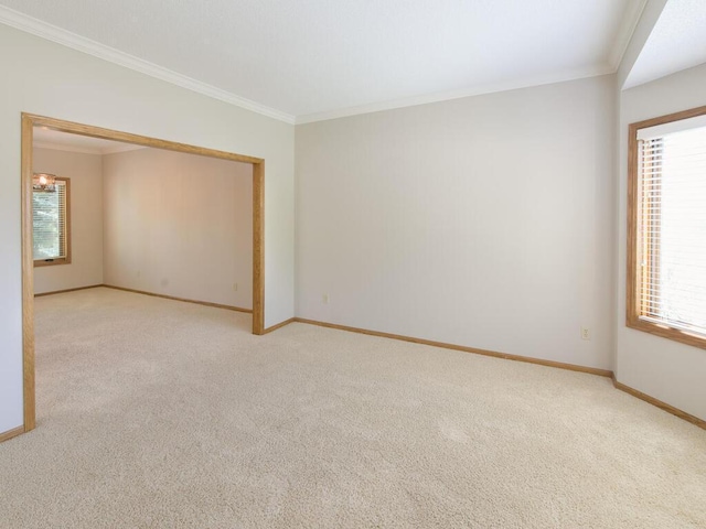 17768 Keystone Ave, Lakeville, MN 55044 - spare room featuring crown molding, carpet floors, healthy amount of natural light, and baseboards