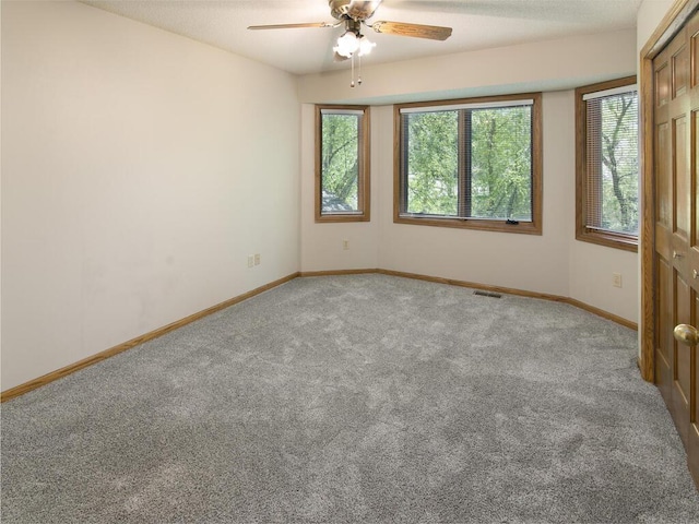 17768 Keystone Ave, Lakeville, MN 55044 - carpeted spare room featuring plenty of natural light, a ceiling fan, and baseboards