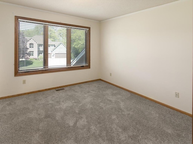 17768 Keystone Ave, Lakeville, MN 55044 - spare room with crown molding, carpet floors, and baseboards