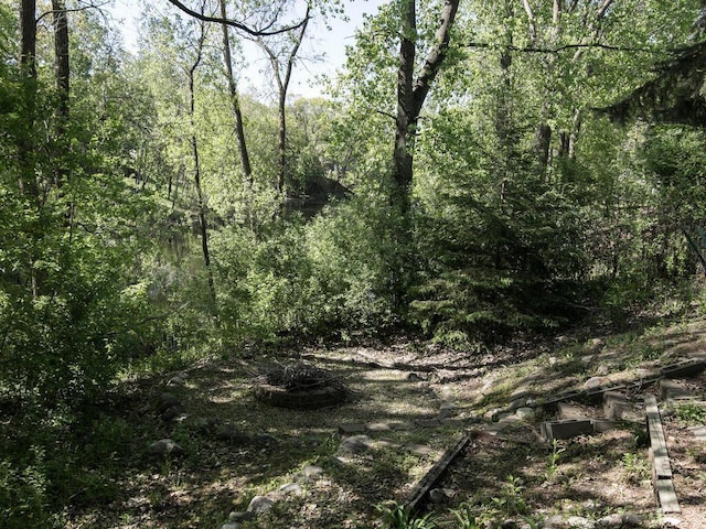 17768 Keystone Ave, Lakeville, MN 55044 - view of wooded area