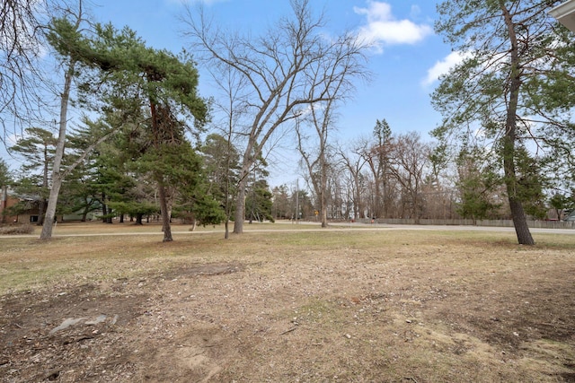 761 Labore Rd, Little Canada, MN 55117 - view of yard