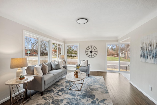 761 Labore Rd, Little Canada, MN 55117 - living room with wood finished floors and baseboards