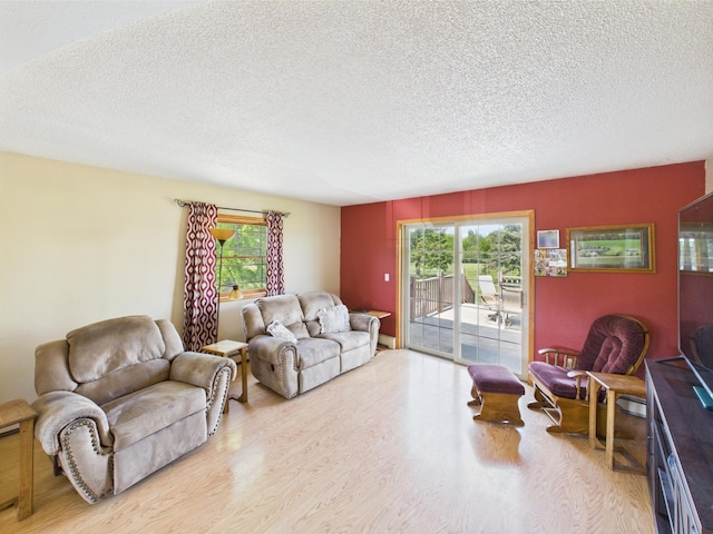 31528 63rd St, Royalton, MN 56373 - living room with wood finished floors and a textured ceiling