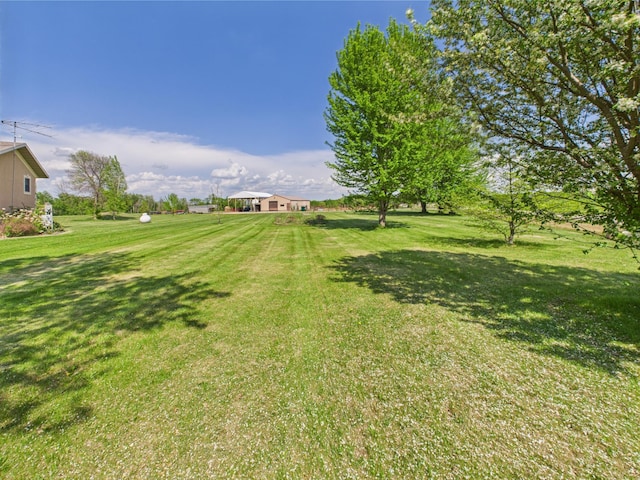 31528 63rd St, Royalton, MN 56373 - view of green lawn
