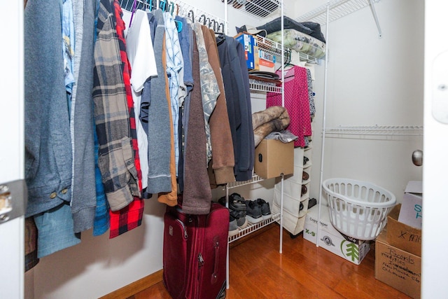 30202 Shady Ln, Detroit Lakes, MN 56501 - spacious closet with wood finished floors