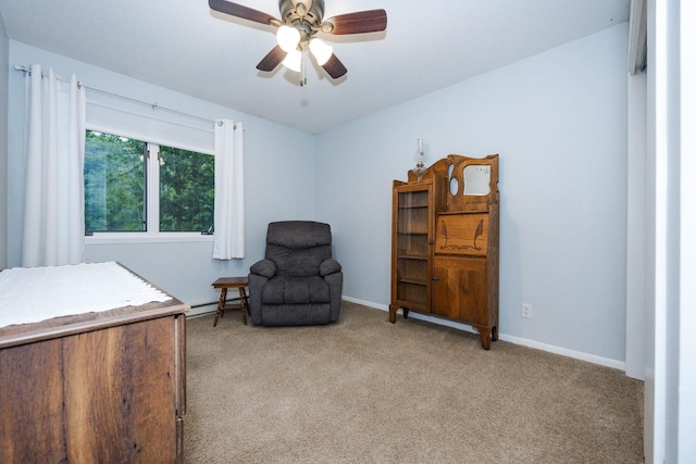 30202 Shady Ln, Detroit Lakes, MN 56501 - sitting room with light colored carpet, baseboard heating, ceiling fan, and baseboards