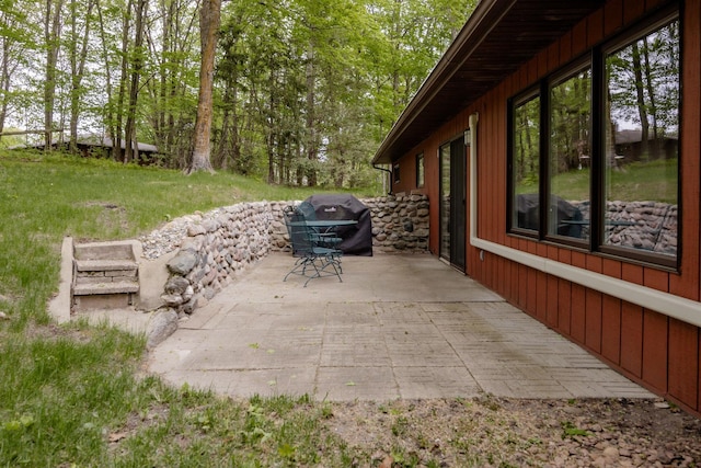 30202 Shady Ln, Detroit Lakes, MN 56501 - view of patio / terrace with grilling area
