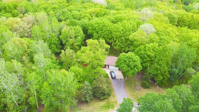 30202 Shady Ln, Detroit Lakes, MN 56501 - aerial view of property and surrounding area featuring a forest