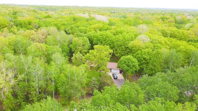 30202 Shady Ln, Detroit Lakes, MN 56501 - view of subject property featuring a forest